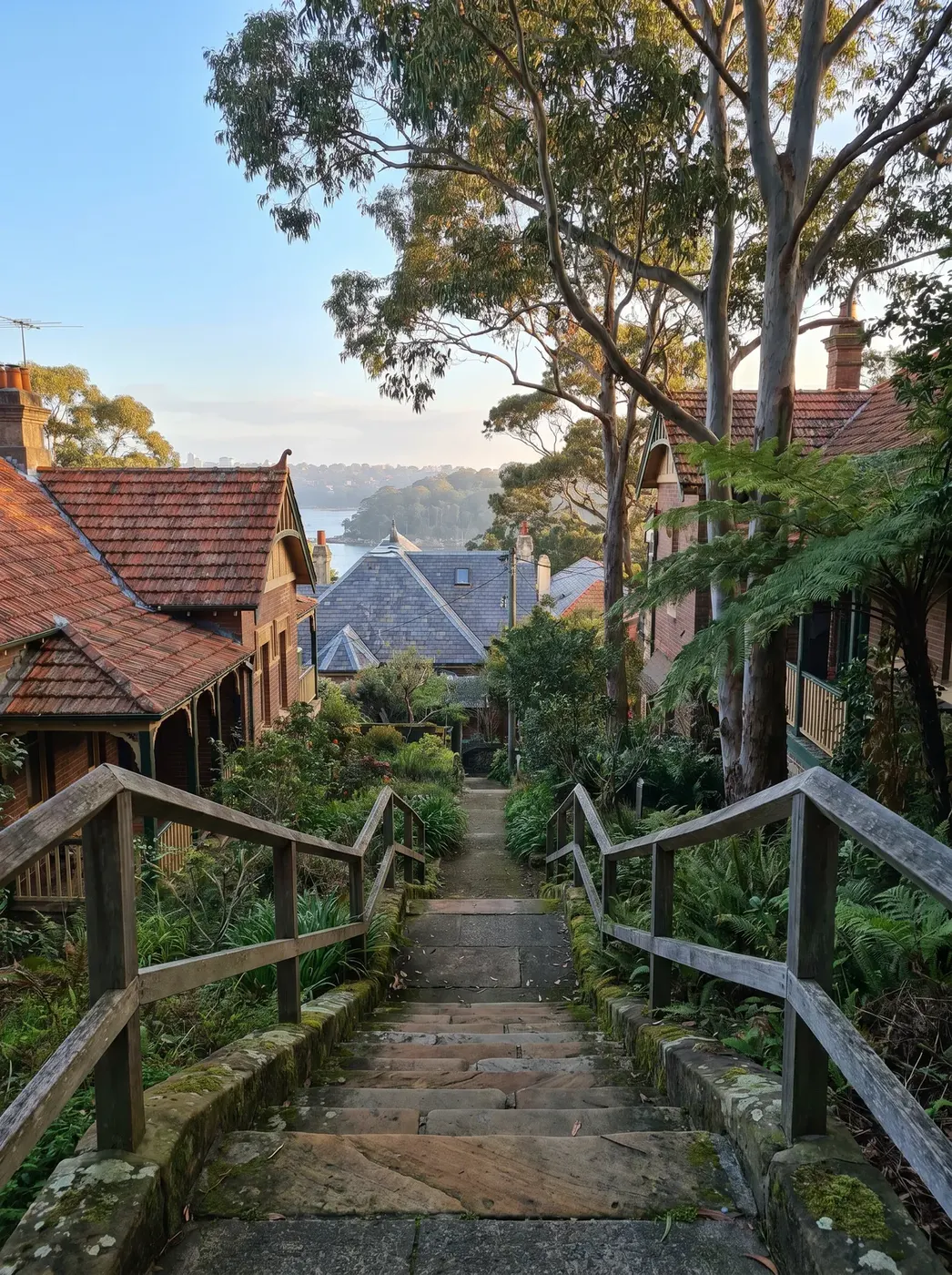 A long stair flight descending between terraced harbourside gardens